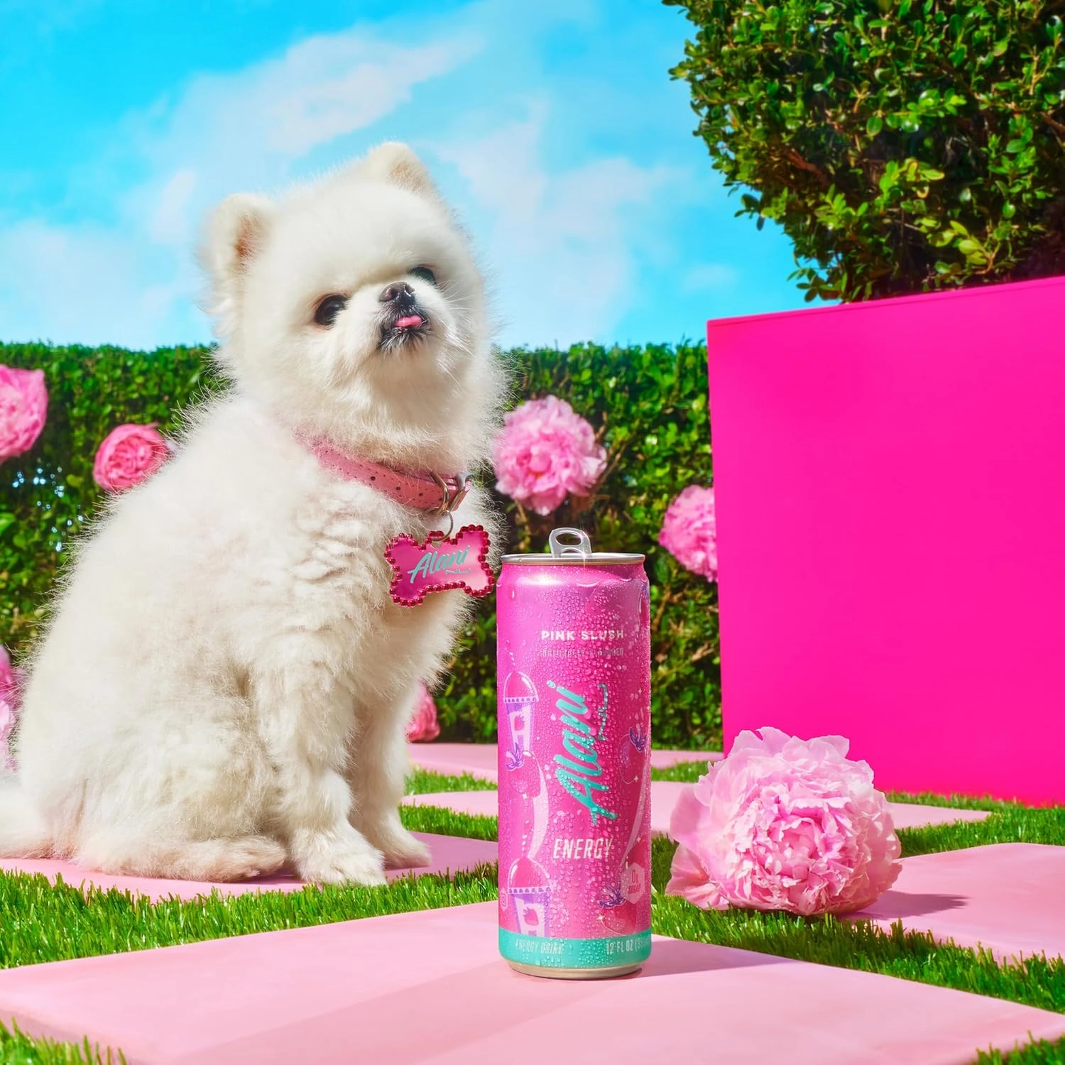 Alani Nu PINK SLUSH Sugar Free Low Calorie Energy Drinks | 200mg Caffeine | Paris Hilton x Alani Nu | Biotin B Vitamins | Zero Sugar | 15 Calories | 12 Fl Oz Cans | 12 Pack