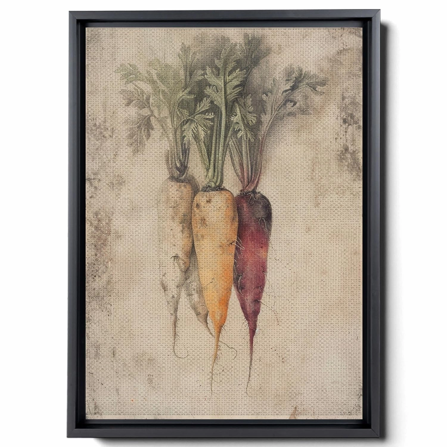 An Illustration Of Carrots, Potatoes And Radishes, In Dark Emerald And Light Beige Style, Lithograph, Realistic Depiction, Decor Canvas