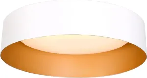 Bargeni LED Ceiling Light Fixture,12.5 inch Flush Mount Light Fixture,Matte White with Gold Inside,Dimmable 3000K/Warm White/18W(100w Equiv.),Outdoor Lighting Fixtures Ceiling for Bedroom and Hallway