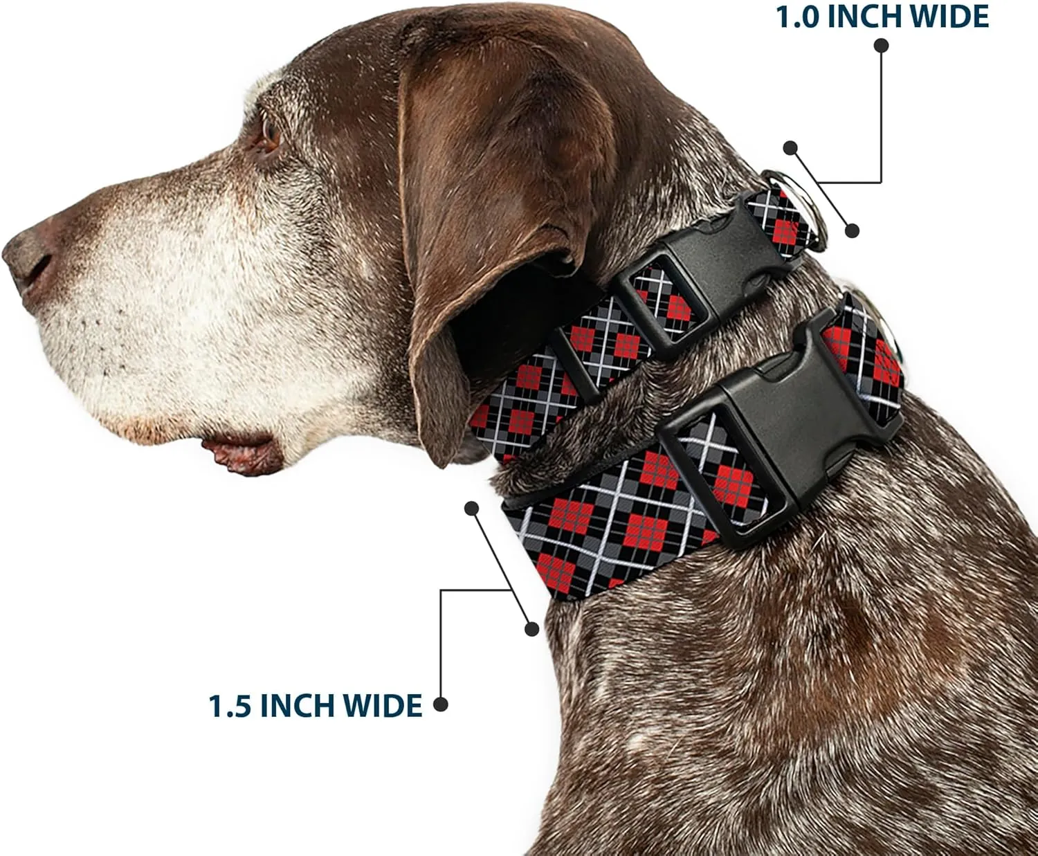 Buckle-Down Plastic Clip Collar - Argyle Black/Gray/Red - 1" Wide - Fits 11-17" Neck - Medium