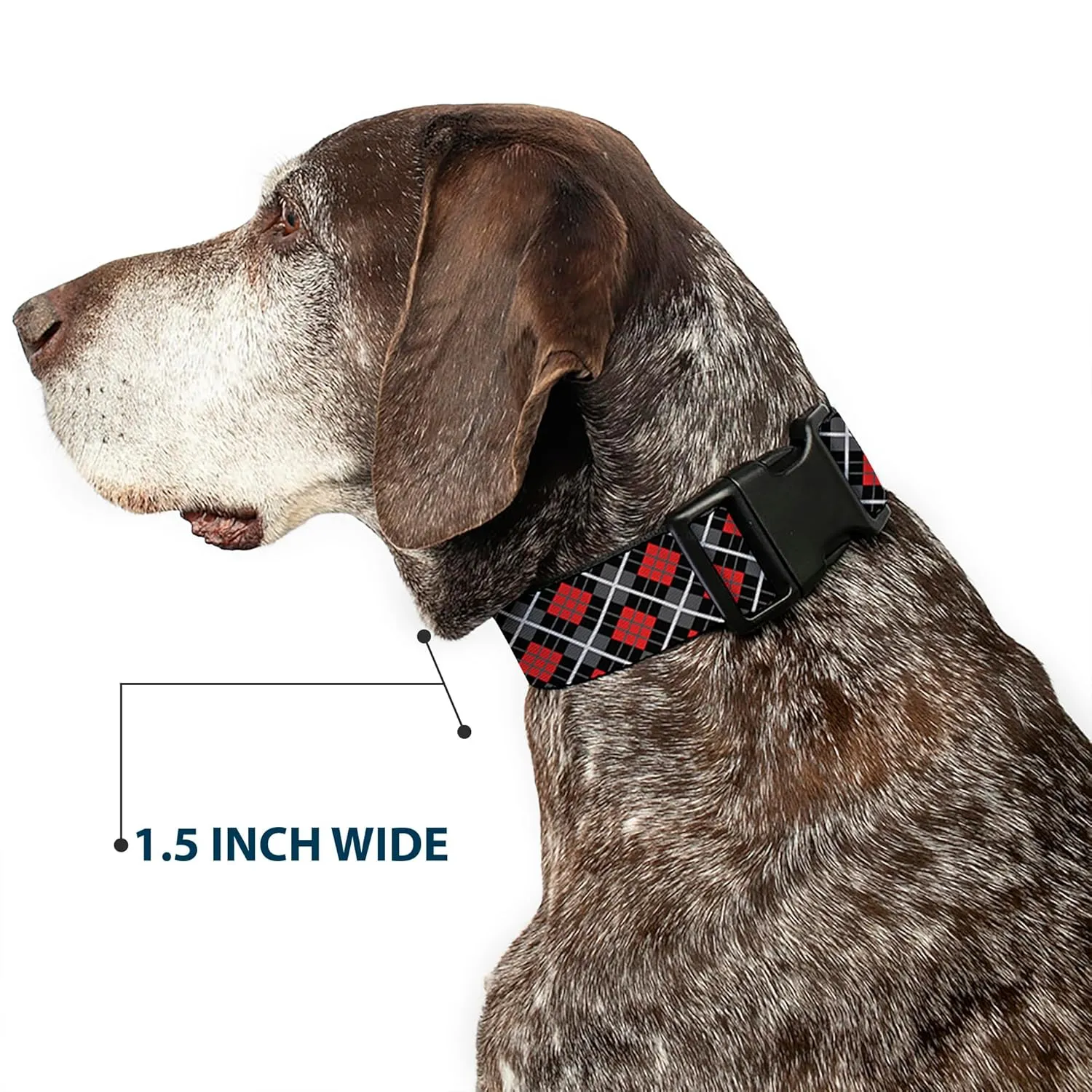 Buckle-Down Plastic Clip Collar - Argyle Black/Gray/Red - 1" Wide - Fits 11-17" Neck - Medium