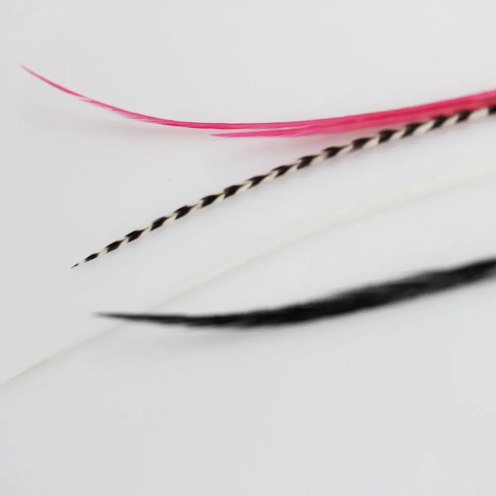 Feather Hair Extension – Hot Pink Genuine Rooster Feathers, All Bonded Together at the Tip, Ranging From 6 to 11 Inches in Length, With a Total of 5 Feathers