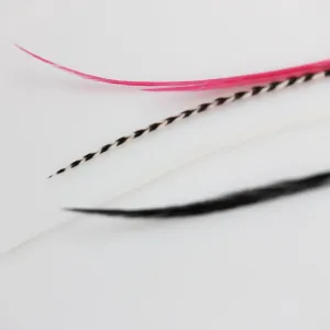 Feather Hair Extension – Hot Pink Genuine Rooster Feathers, All Bonded Together at the Tip, Ranging From 6 to 11 Inches in Length, With a Total of 5 Feathers