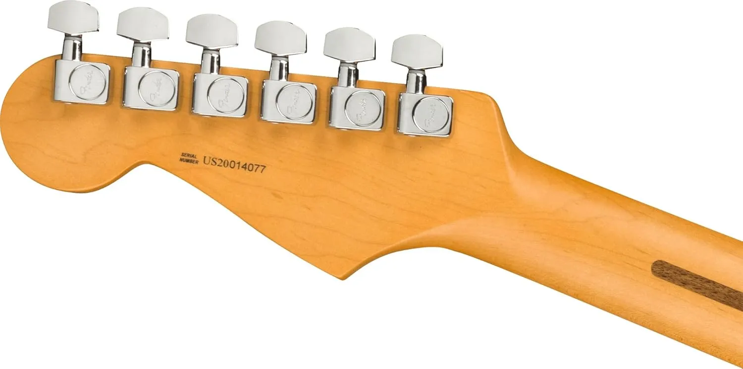 Fender American Professional II Stratocaster - Roasted Pine Bundle with Case, Strap, Cable, and Guitar Cleaning Kit