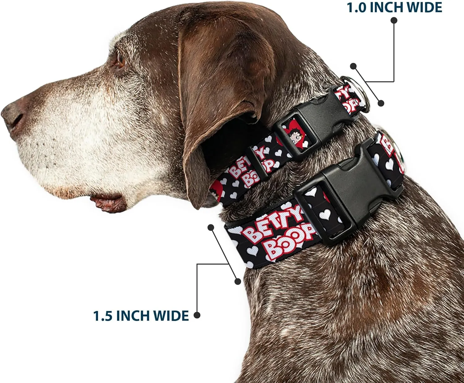 Fleischer Studios, Inc. Pet Collar, Dog Collar Plastic Buckle, Betty Boop Face and Text Hearts Black White Red, 11 to 16.5 Inches 1.0 Inch Wide
