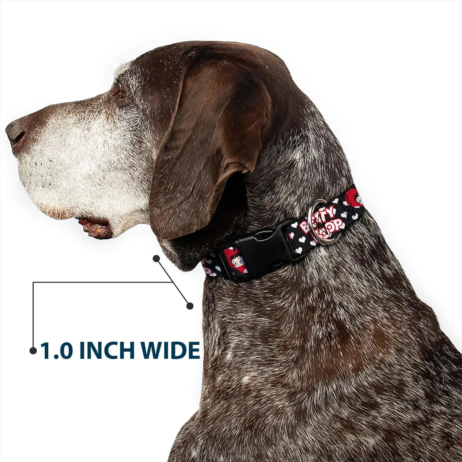 Fleischer Studios, Inc. Pet Collar, Dog Collar Plastic Buckle, Betty Boop Face and Text Hearts Black White Red, 11 to 16.5 Inches 1.0 Inch Wide