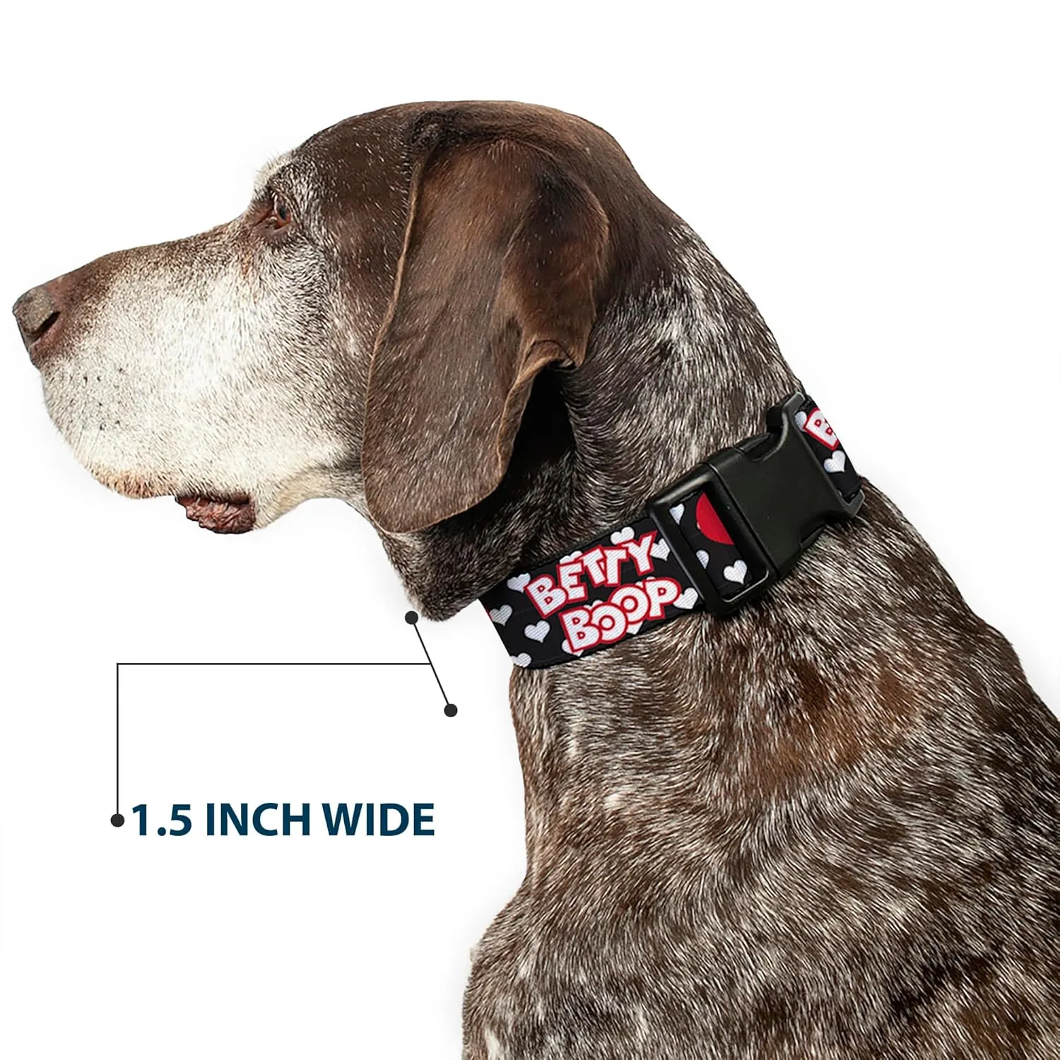 Fleischer Studios, Inc. Pet Collar, Dog Collar Plastic Buckle, Betty Boop Face and Text Hearts Black White Red, 11 to 16.5 Inches 1.0 Inch Wide