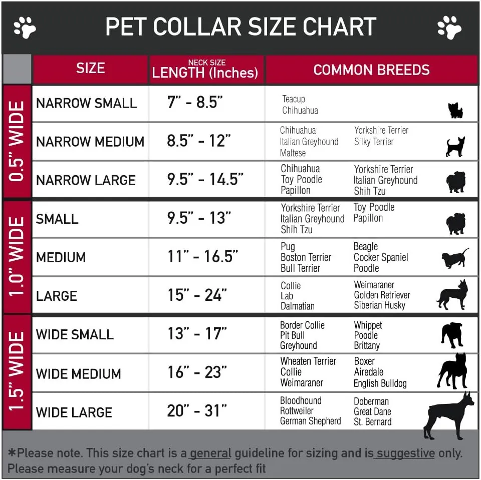 Fleischer Studios, Inc. Pet Collar, Dog Collar Plastic Buckle, Betty Boop Face and Text Hearts Black White Red, 11 to 16.5 Inches 1.0 Inch Wide