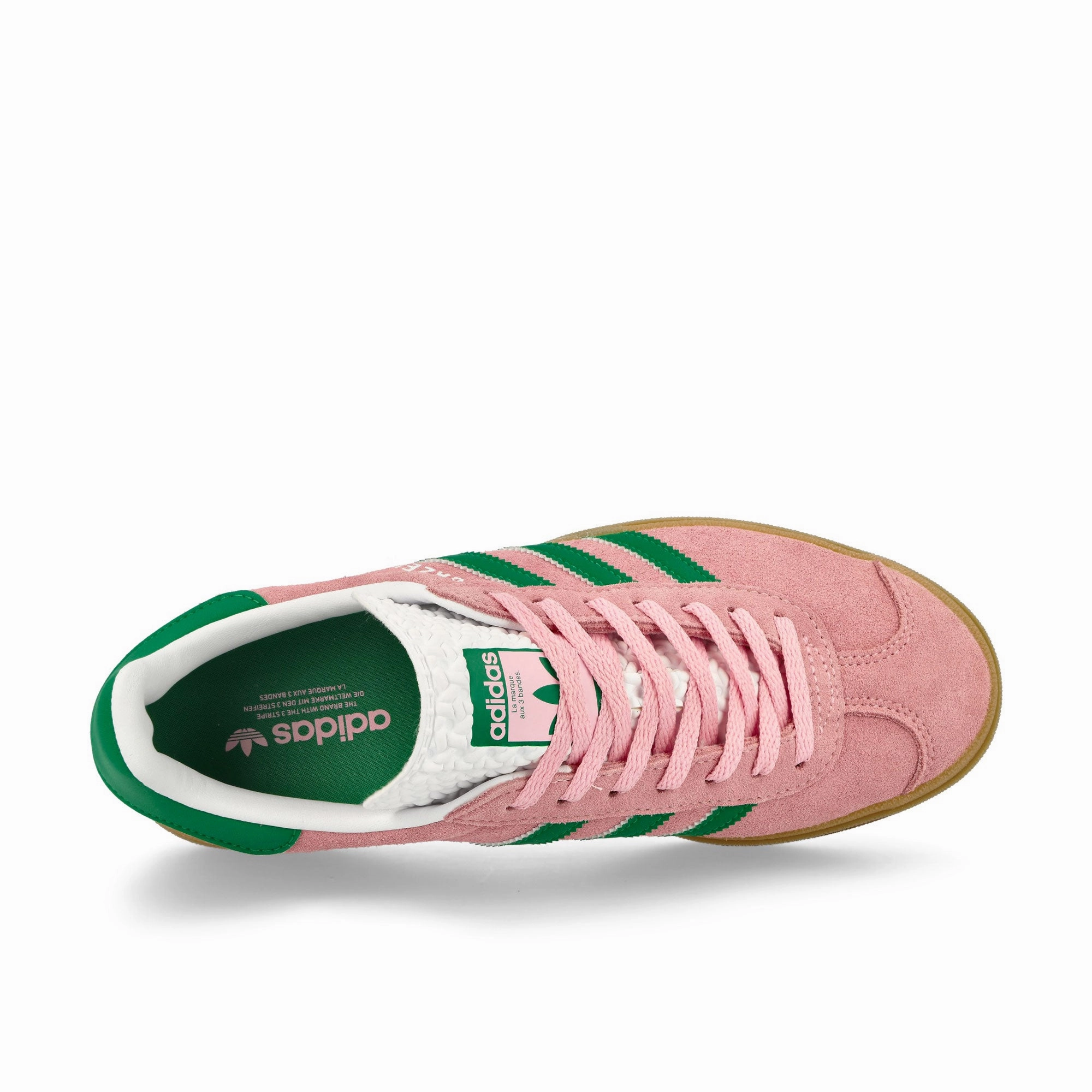 Gazelle Bold W