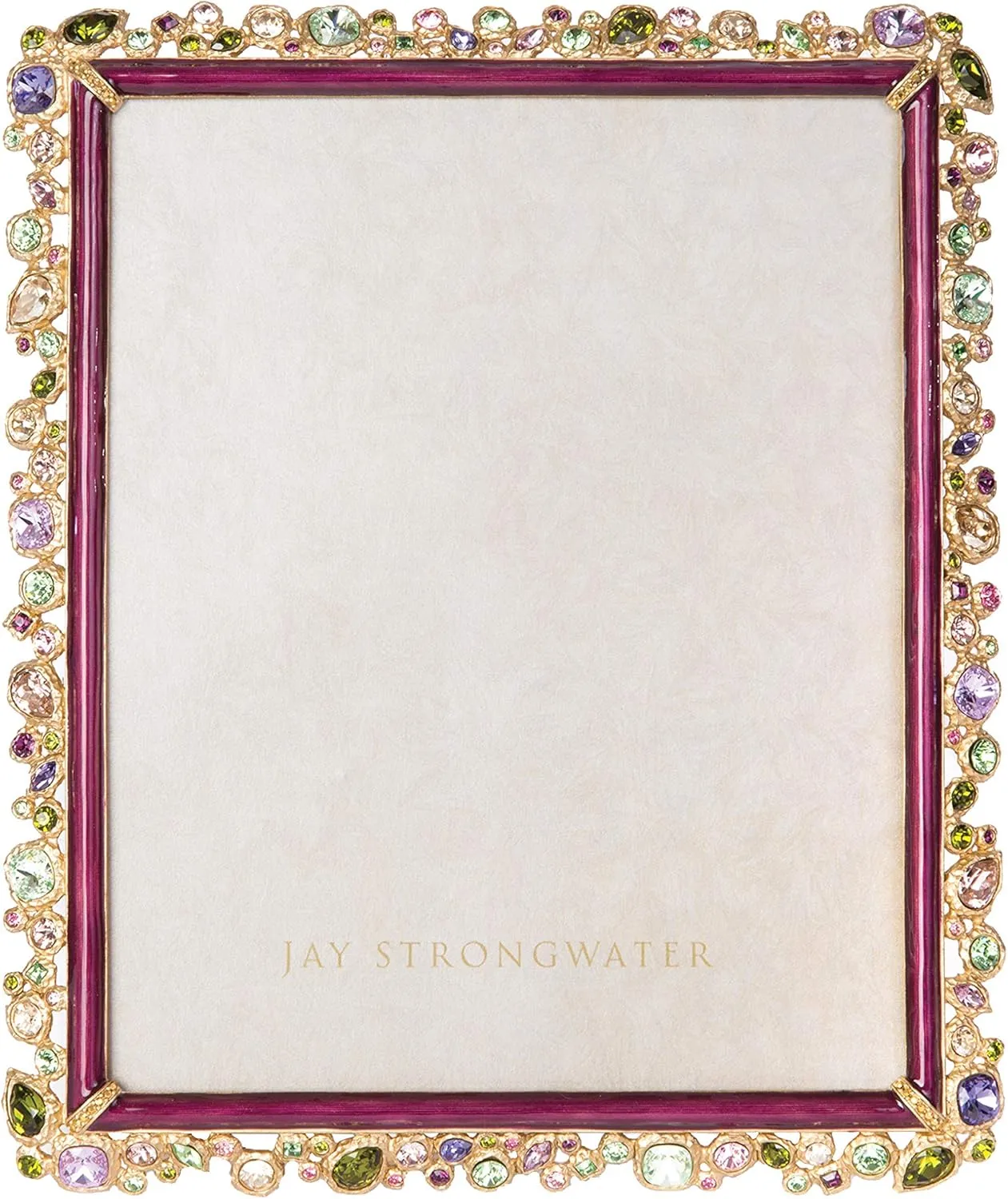 Jay Strongwater Theo Bejeweled 8x10 Frame #SPF5843289