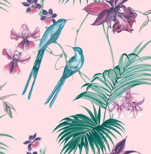 Julien Macdonald Utopia Pink Wallpaper