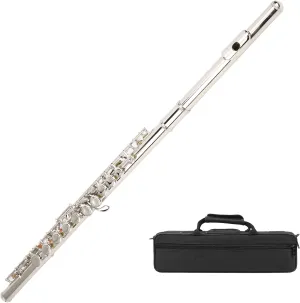 Lade 16 Hole C Flute Closed Key, Play The Flute with Storage Bag Increased Tube Resonance Musical Instrument 16 Keys Closed Hole Flutes for Musical Instruments Lovers and, Silver