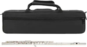 Lade 16 Hole C Flute Closed Key, Play The Flute with Storage Bag Increased Tube Resonance Musical Instrument 16 Keys Closed Hole Flutes for Musical Instruments Lovers and, Silver