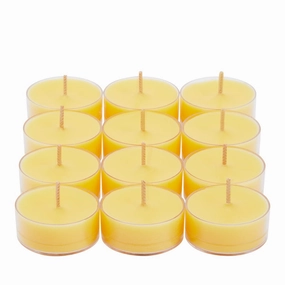 Mango Lime Sorbet Universal Tealight® Candles