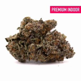 Peach Tree THCa Indoor Flower