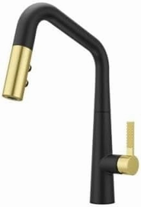 Pfister GT529-ASRBBG Kitchen Faucets and Accessories, Combo-Matte Black and Brushed Gold