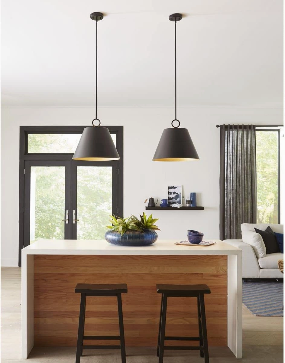 Progress Lighting Parkhurst Collection 18 in. 3-Light Matte Black Pendant