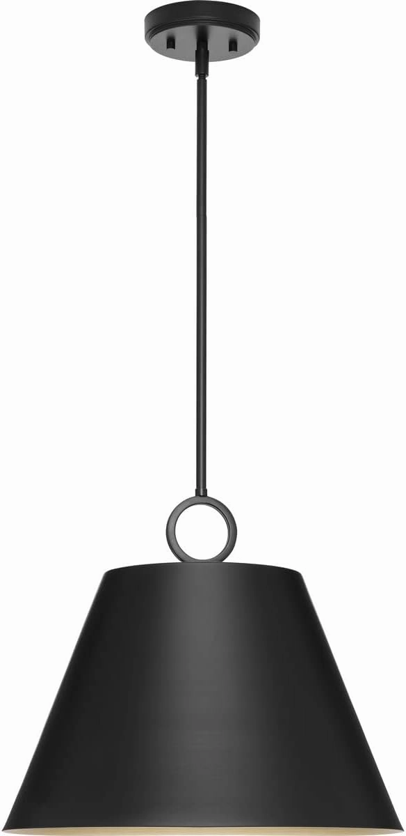 Progress Lighting Parkhurst Collection 18 in. 3-Light Matte Black Pendant