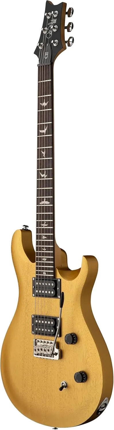 PRS SE CE24 Standard Satin, Metallic Gold