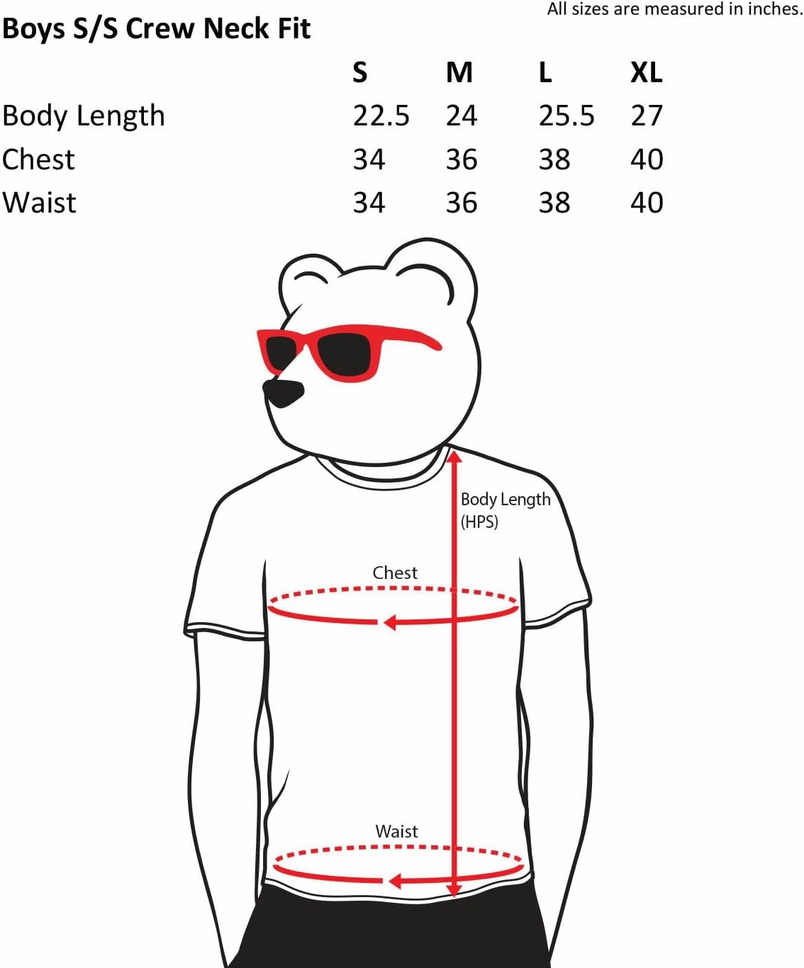 Riot Society Boys Short and Long Sleeve Graphic T Shirts