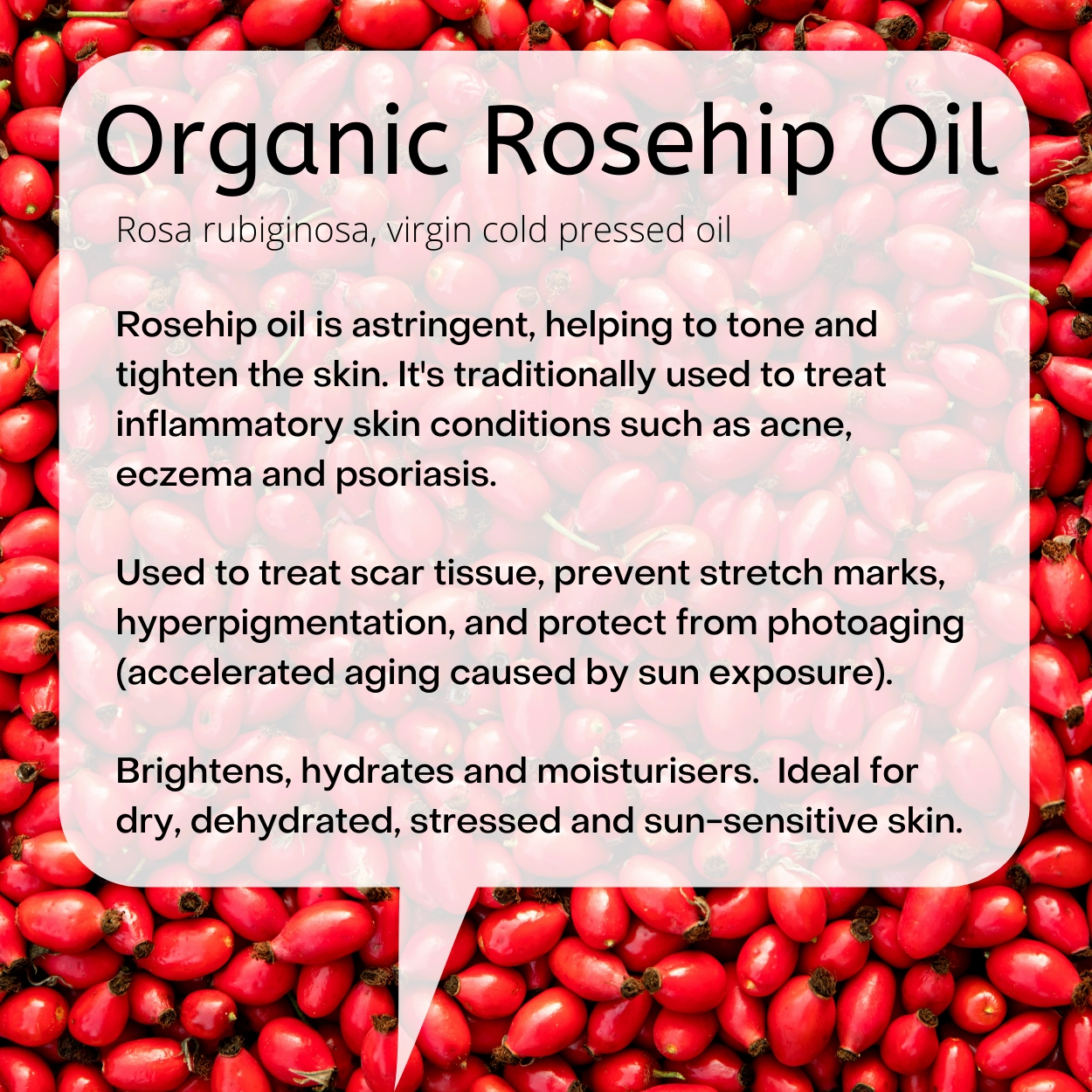 Rosehip and Blackseed Oil Balancing Balm