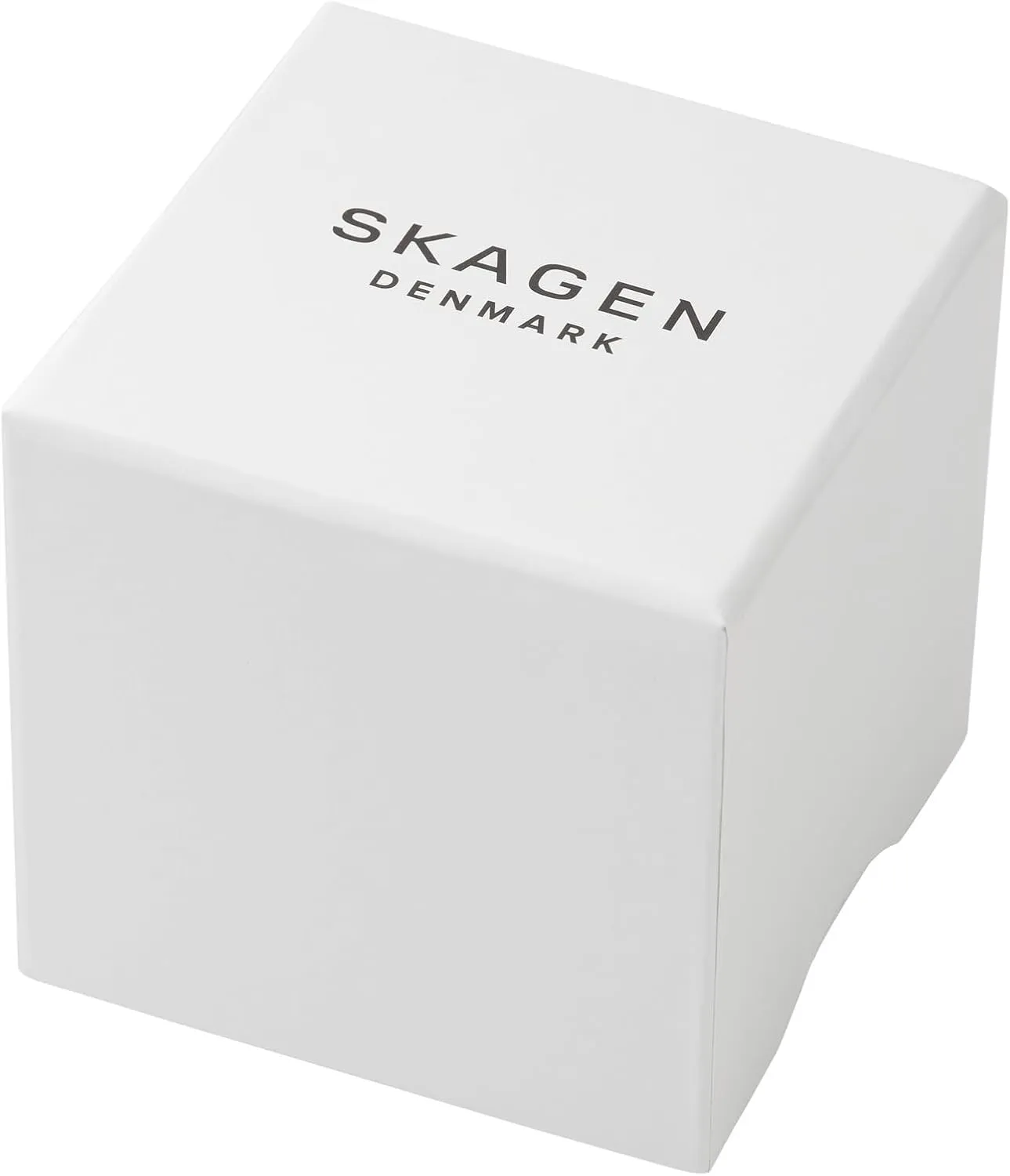 Skagen Women's Watch