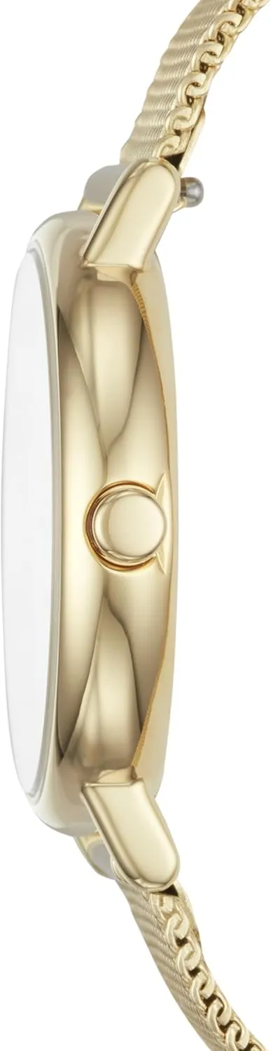 Skagen Women's Watch