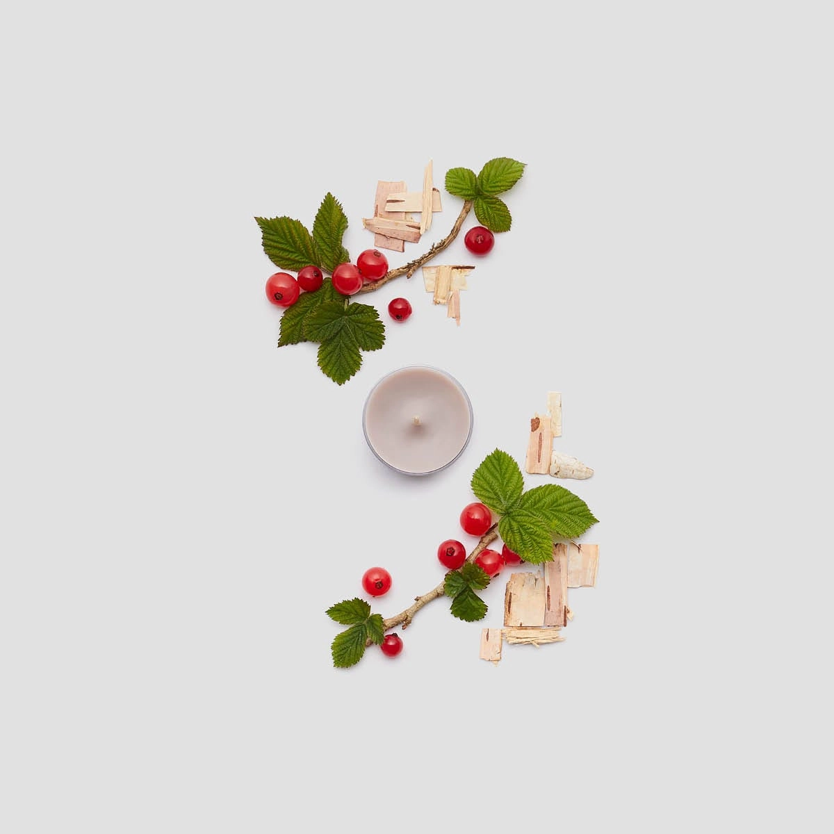 White Birch & Currant Universal Tealight® Candles